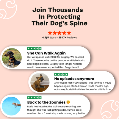 Periva Spine & Disc Powder